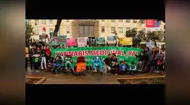 El cannabis medicinal ayuda al tratamiento del síndrome de West El cannabis medicinal ayuda al tratamiento del síndrome de West