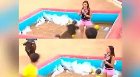 Todo transcurría con normalidad hasta que pasó lo impensable Todo transcurría con normalidad hasta que pasó lo impensable