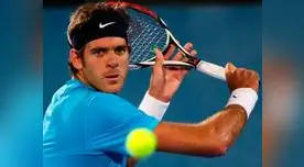 Río 2016: Del Potro entra a las semifinales y llora de felicidad (VIDEO)