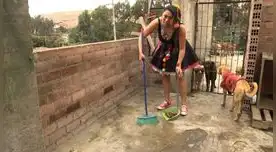 Mamacha limpió albergues