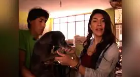 Amor por los animales.