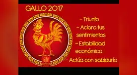 El signo del Gallo incluye los años 1933, 1945, 1957, 1969, 1981, 1993, 2005 y 2017 El signo del Gallo incluye los años 1933, 1945, 1957, 1969, 1981, 1993, 2005 y 2017
