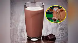 Aunque no lo cree así piensan millones en los Estados Unidos 