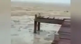 Una playa en Bahamas se quedó sin agua.