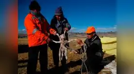 Víctimas del friaje siguen en espera de ayuda humanitaria