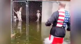 Hombre salvó a seis perros que se encontraban enjaulados en medio del huracán Florence
