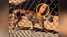 Conejita Ania Gadea conmovida por situación de crisis que ocurre en Venezuela