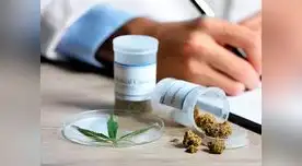 Cannabis medicinal en debate