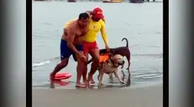 PNP: rescatan a 550 bañistas en lo que va del verano 2019