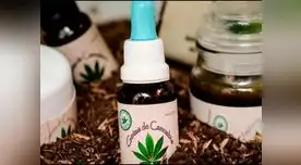 El Estado garantizará el acceso a la marihuana y sus derivados con fines médicos