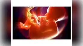 Examen de ADN reveló la verdad