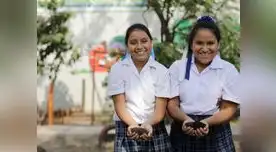 Centro piloto cuenta con 14 pilas de residuos orgánicos para su transformación en compost