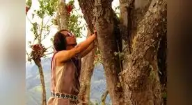 Richard Torres se casó con un árbol en Amazonas
