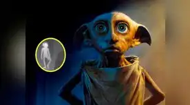 Mujer publicó el video viral de una rara criatura 