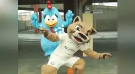 Gallinita Pintadita hizo de las suyas en estadio de Universitario de Deportes [VIDEO]