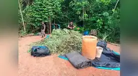 Agentes PNP encontraron más de 900 kg de hoja de coca en Pasco Agentes PNP encontraron más de 900 kg de hoja de coca en Pasco