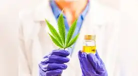 Cannabis medicinal, un tratamiento complementario que podría ayudar a un millón de peruanos