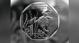 Moneda alusiva a la rana gigante del Titicaca