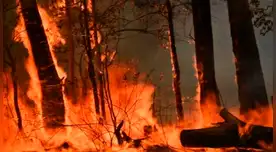 El hombre es acusado de provocar incendios para salvar su cultivo de marihuana