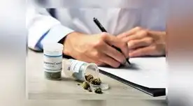 Medida busca proteger salud de pacientes que utilizan el cannabis medicinal