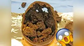 Descubren cerebro de un hombre decapitado hace 2600 años | FOTO