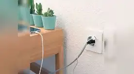 Estos se vuelven cada vez más imprescindibles