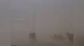 Tormenta de arena alarmó a pobladores en Ica Tormenta de arena alarmó a pobladores en Ica