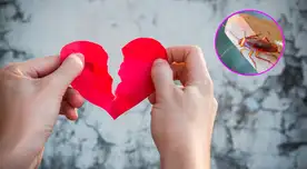 La campaña que tiene un trasfondo benéfico fue compartida mediante la página de Facebook del zoológico.