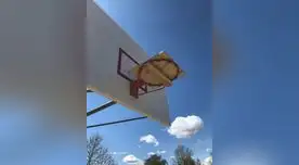 Nueva York es el foco de infección del coronavirus en EE.UU.