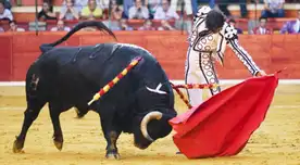 Madrid, Valencia, Castellón, Mauricia, Arnedo han cancelado cerca de 21 corridas de toros. Madrid, Valencia, Castellón, Mauricia, Arnedo han cancelado cerca de 21 corridas de toros.