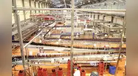 Backus confirmó que no brindará la distribución de cervezas en Piura, Lambayeque y Loreto.