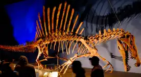 Spinosaurus era un animal acuático.