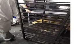 Clausuran panadería que operaba en condiciones antihigiénicas Clausuran panadería que operaba en condiciones antihigiénicas