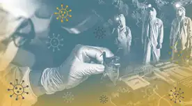 ¿Científicos en China descubrieron un virus cercano a COVID-19 hace siete años? ¿Científicos en China descubrieron un virus cercano a COVID-19 hace siete años?