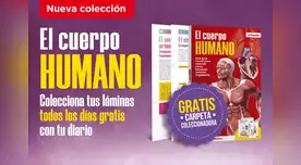 El cuerpo humano