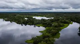 Salvemos juntos el planeta.