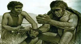 El Homo Habilis fue el primero en crear herramientas de piedra. El Homo Habilis fue el primero en crear herramientas de piedra.