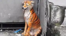 A través de una publicación de Facebook, buscan el paradero del culpable.