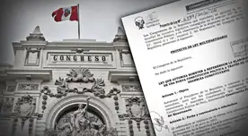 El proyecto de ley establece que el Poder Ejecutivo no tendrá derecho a observar la norma, siendo promulgada de manera obligatoria dentro del plazo legal.