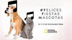 Felices Fiestas Mascotas