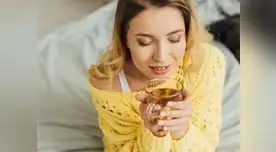 La hierba luisa es muy valorada por sus múltiples propiedades medicinales.