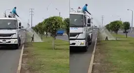 Peculiar video del perro se viralizó en las redes sociales. Peculiar video del perro se viralizó en las redes sociales.