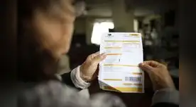 Bono Electricidad: la consulta es virtual y gratis, no es necesario salir de casa o acudir a empresas eléctricas.