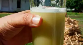 Los detenidos estaban consumiendo caña de azúcar mezclada con gaseosa. Los detenidos estaban consumiendo caña de azúcar mezclada con gaseosa.