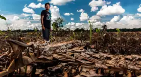 En los últimos siete años 12 líderes defensores del medio ambiente fueron asesinados solo en la Amazonía y cuatro de ellos fueron atacados en pleno estado de emergencia por la pandemia. En los últimos siete años 12 líderes defensores del medio ambiente fueron asesinados solo en la Amazonía y cuatro de ellos fueron atacados en pleno estado de emergencia por la pandemia.