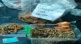 Los tallarines verdes con la droga