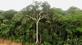 El objetivo es proteger los ecosistemas y seres vivos que día a día se ven afectados por la mano del hombre.