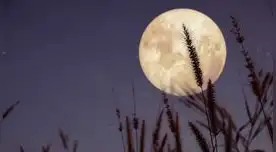 superluna superluna