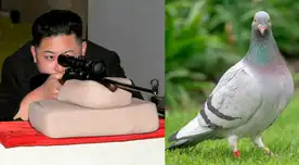 Los norcoreanos han estado disparando a las aves provenientes del vecino país asiático. También se ha culpado a los gatos callejeros de propagar el coronavirus.