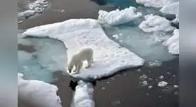 Hace unos días la comunidad científica observaba el desprendimiento de un iceberg llamado A-76 de la Antártida.